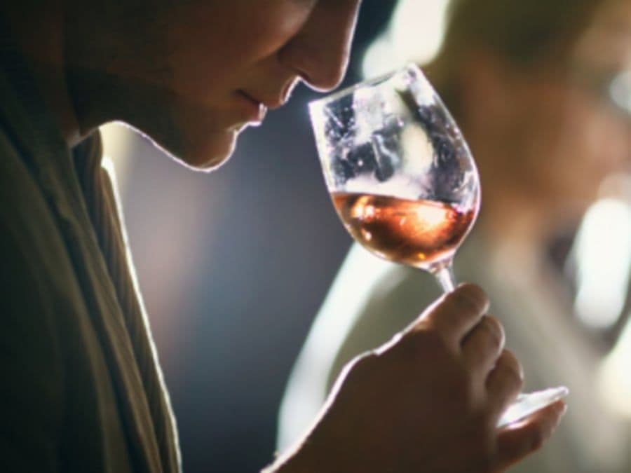 Billet Cours d'œnologie "Les arômes du vin" à Angers (49)