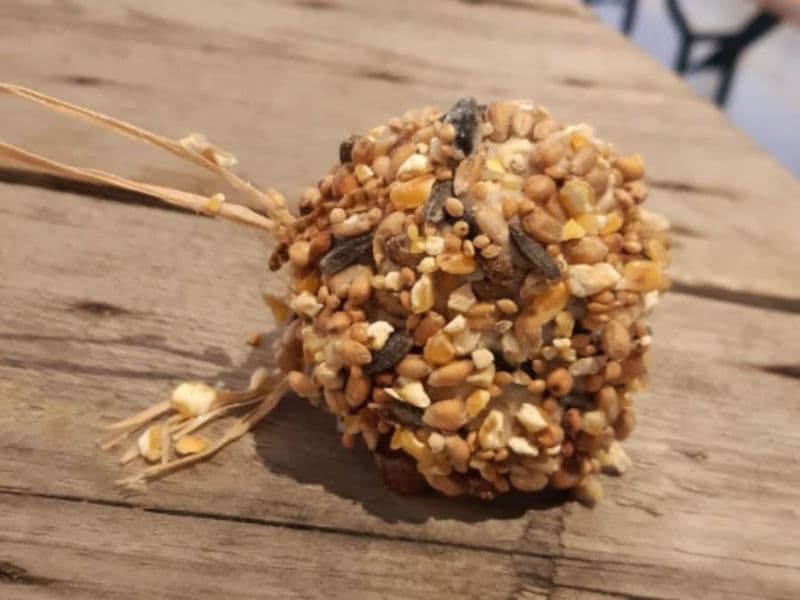 Atelier nourrisseur à oiseaux & Visite de la Ferme de St Denis