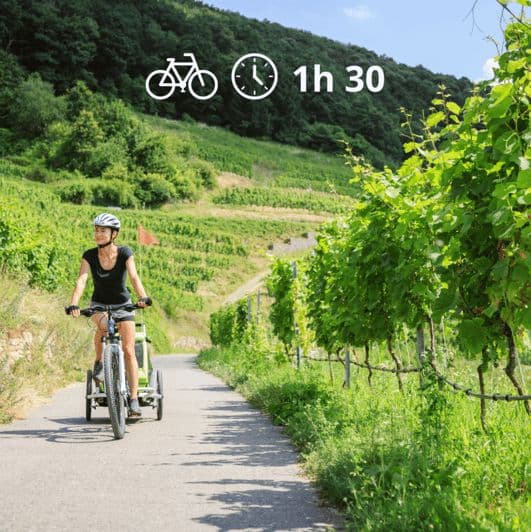 Billet Pérouse : excursion à vélo dans les vignobles et dégustation de vin