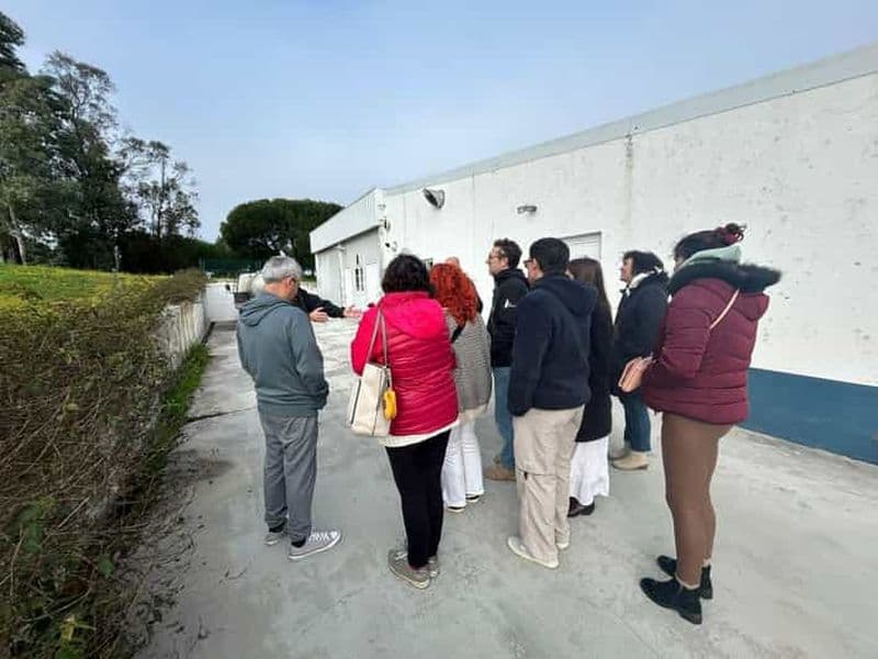 Billet Évora : excursion d'une journée avec fromage, vin et déjeuner