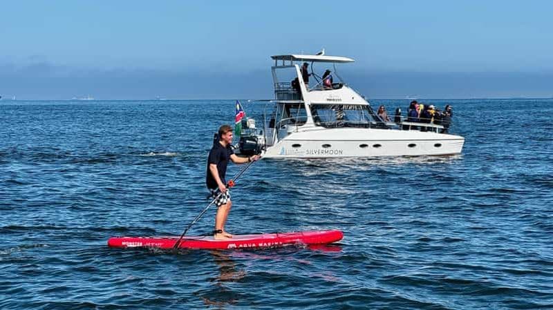 Walvis Bay : Aventure en kayak de mer avec brunch
