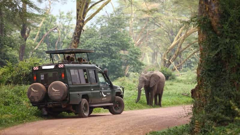 Billet Arusha : Safari de 3 jours à Tarangire, Ngorongoro et au lac Manyara