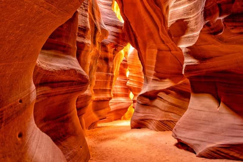 Las Vegas : Lower Antelope Canyon et Horseshoe Bend avec déjeuner