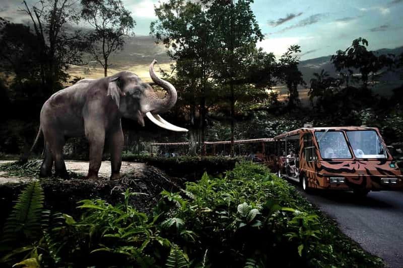 Singapour : billet pour le safari nocturne, trajet en tramway et transfert aller-retour