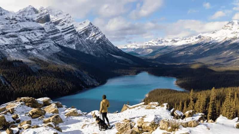 Billet Promenade des Glaciers, lac Peyto, lac Bow et lac Minnewanka