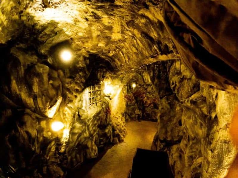 Billet Au départ d'Arusha/Manyara : Tanzanite Experience Manyara Museum tour