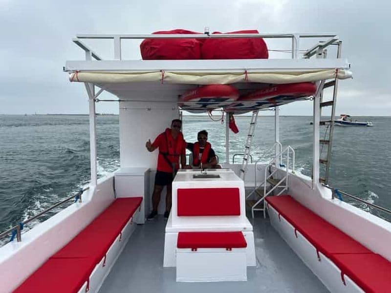 Olhão : Observation des oiseaux