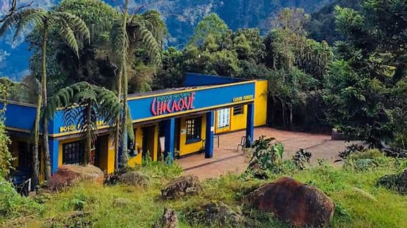 Bogota : Explorez la forêt et observez les oiseaux dans le parc naturel de Chicaque