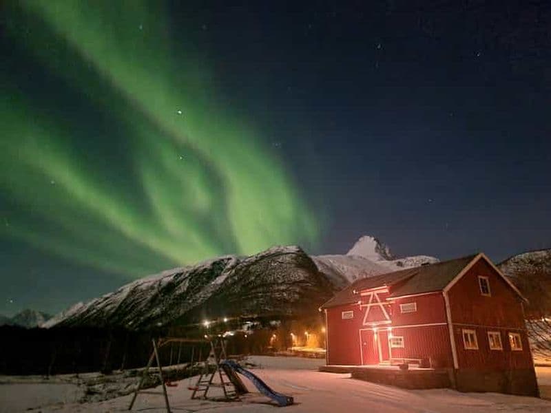 Billet Sauna et baignade dans l'eau glacée du Lyngenfjord