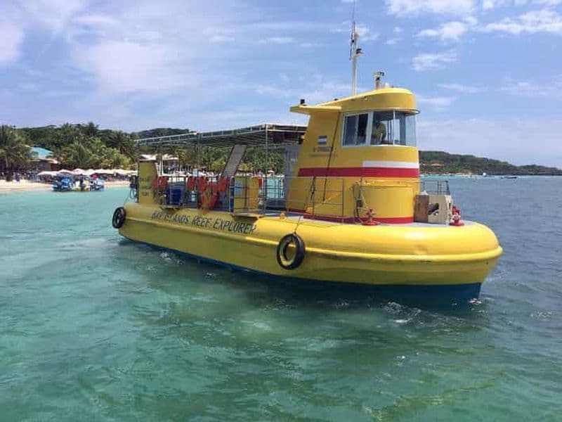 Billet Roatan : Parc des paresseux, balade à cheval et excursion en bateau à fond de verre