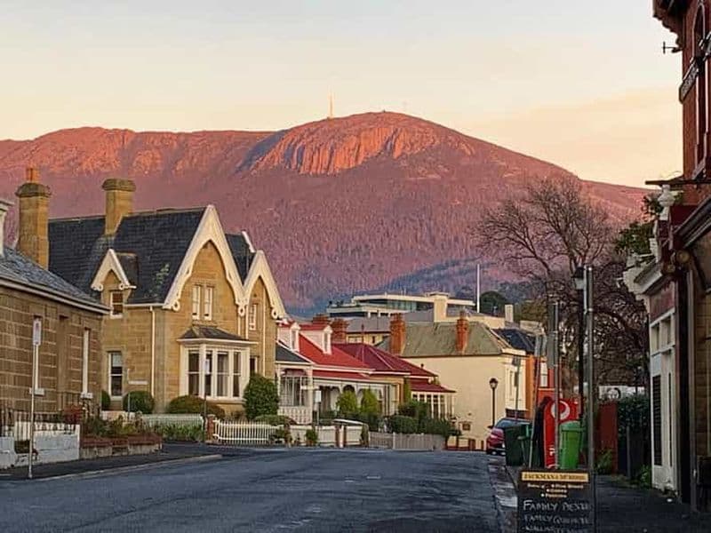 Billet Hobart : visite citadine privée, mont Wellington et thé