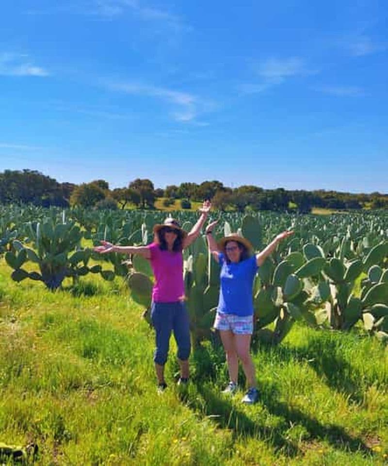 Billet Alentejo : Visite d'un verger de figuiers de Barbarie et d'une forêt de chênes-lièges