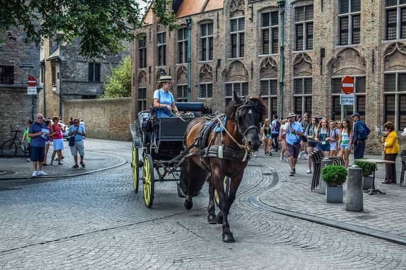 Billet Depuis Amsterdam : visite touristique privée de Bruges
