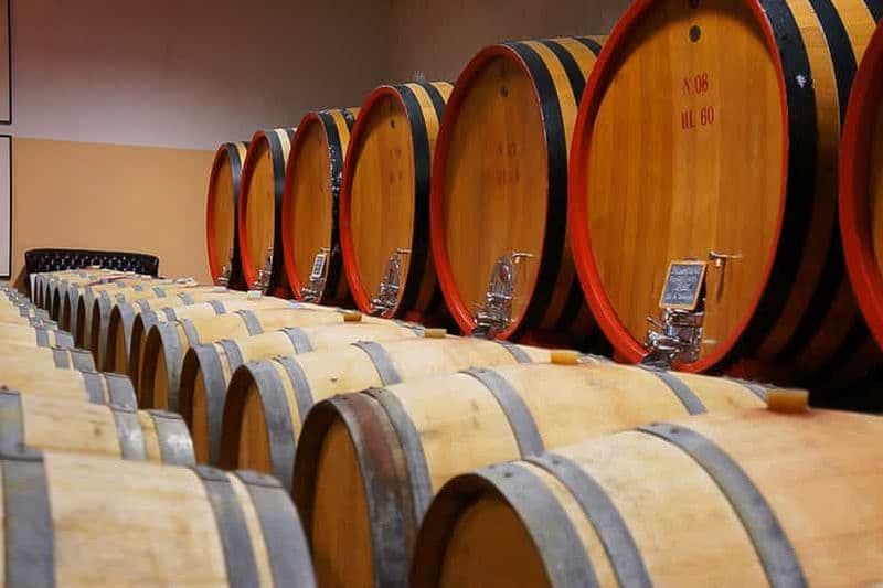 De Sienne : visite guidée des vins du Brunello di Montalcino avec déjeuner