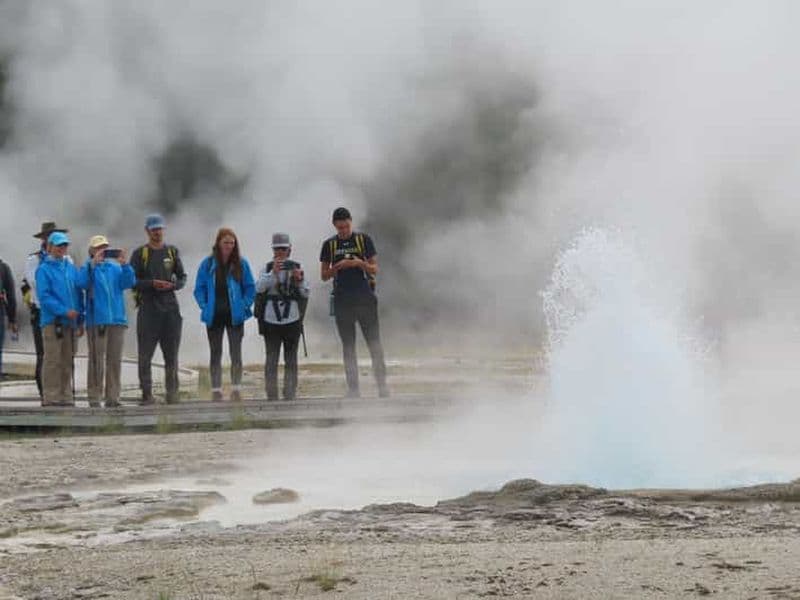 Yellowstone: randonnée dans le bassin supérieur du geyser avec déjeuner