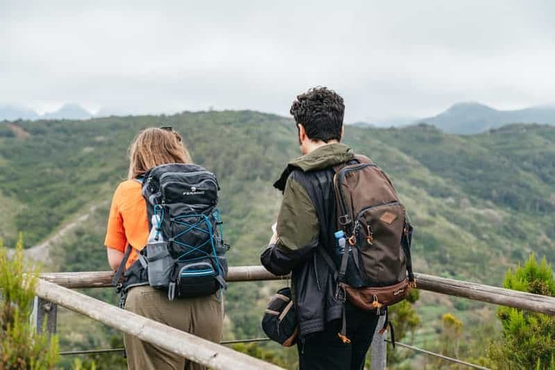 Billet Depuis le sud de Ténérife : Excursion d'une journée sur l'île de La Gomera avec déjeuner