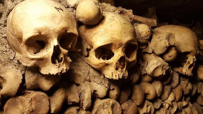 Billet Paris : Billet pour les catacombes et croisière sur la Seine