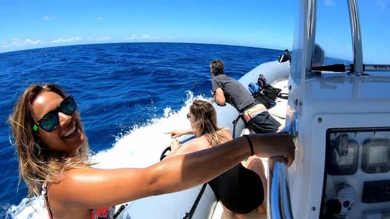 Oahu : Aventure privée d'observation des baleines