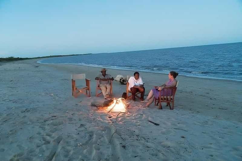 Billet Tanzanie : Safari dans le parc national de Saadani et excursion à la plage