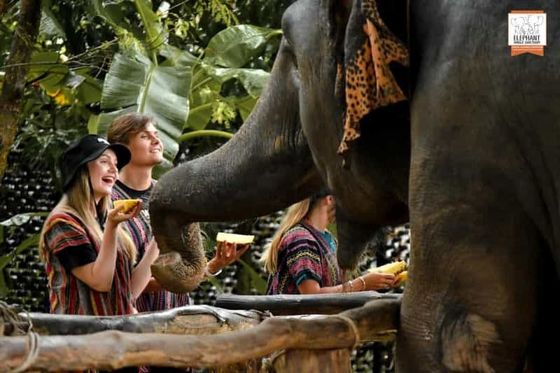 Billet Phuket : Le Sanctuaire de la jungle des éléphants : une expérience de nourrissage éthique