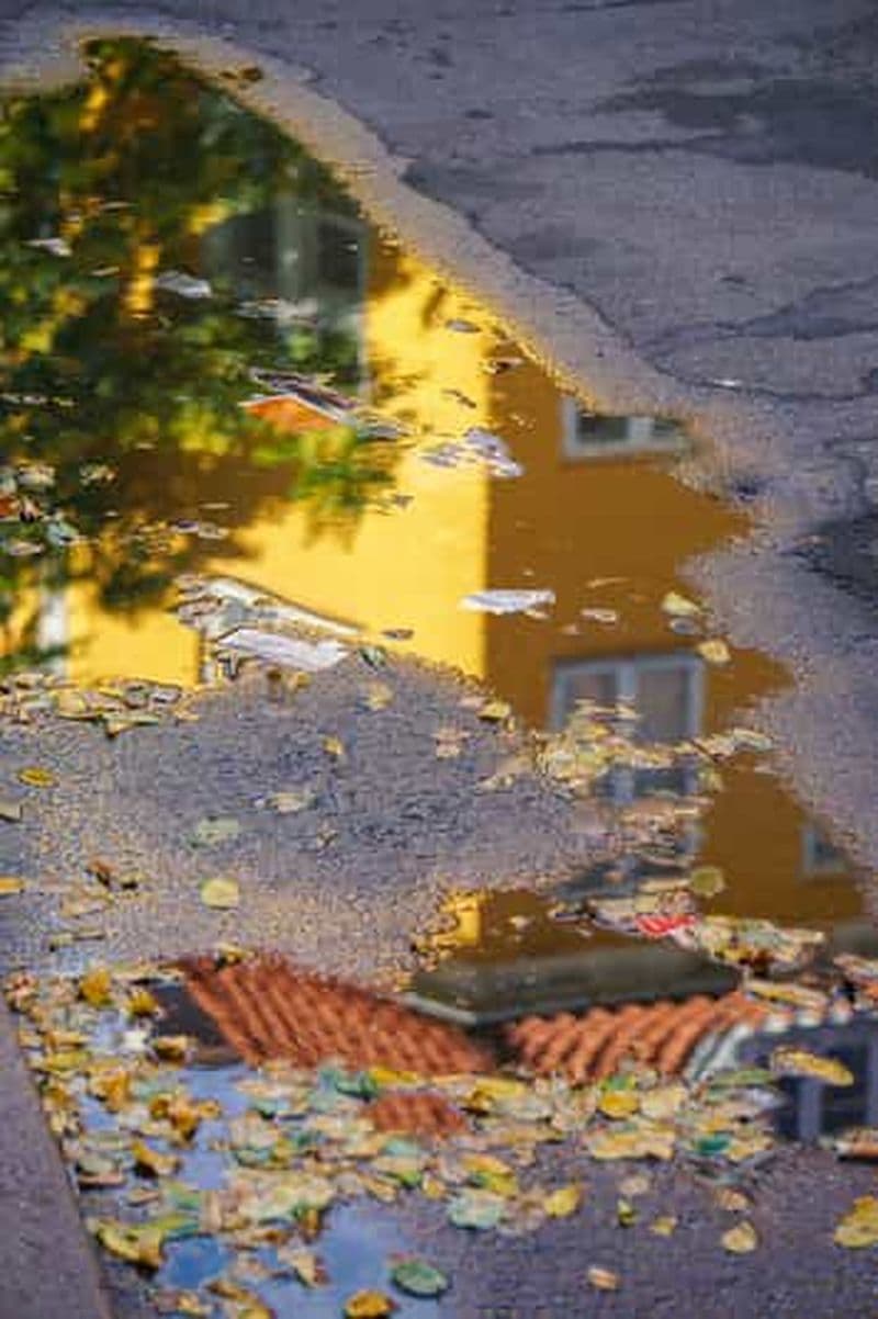 Billet Østerbro : visite à pied « Délices et découvertes en soirée