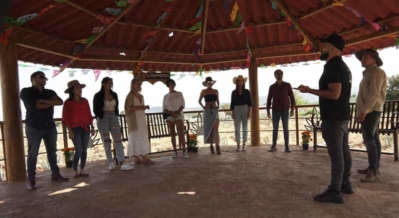 Billet Guadalajara : Visite de la Tequila de qualité supérieure avec dégustations et accords.