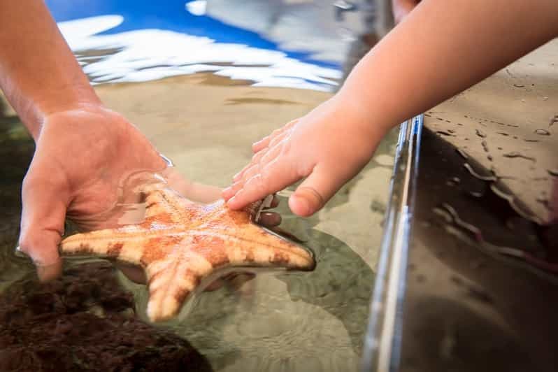 Billet Perth : billets d'entrée à l'aquarium AQWA d'Australie occidentale
