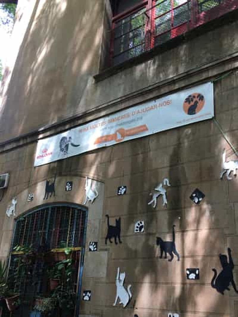 Histoires cachées d'El Raval : art, histoire et vie sociale