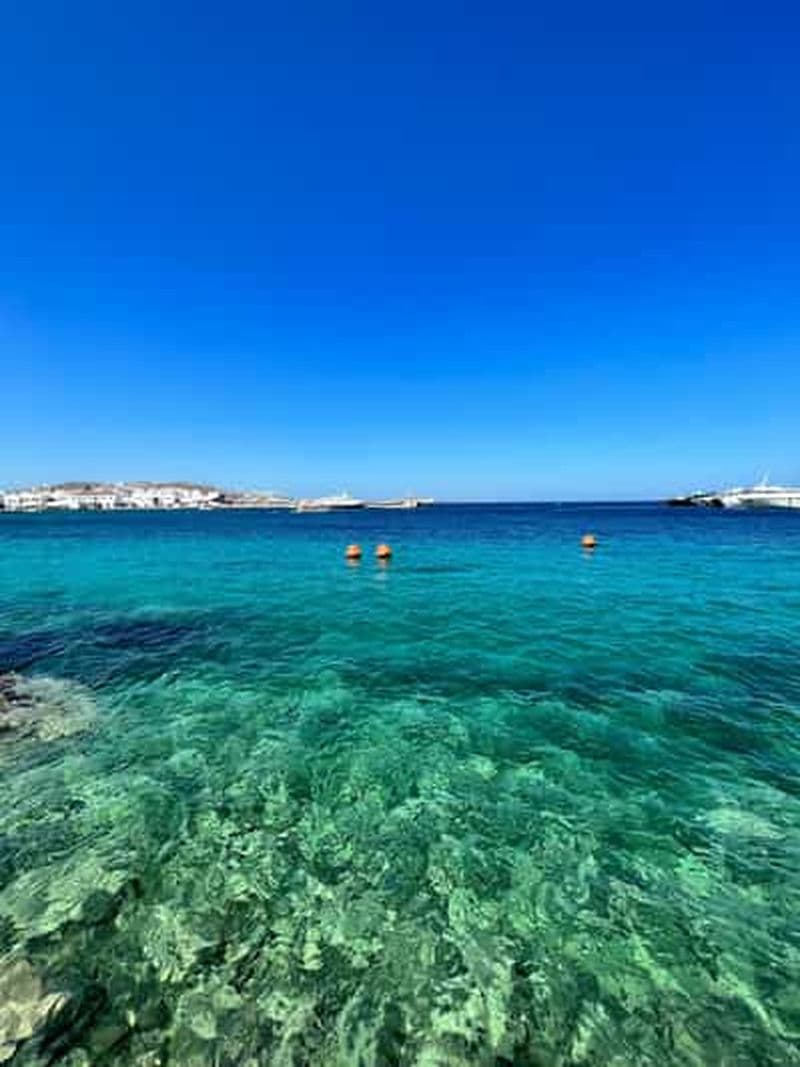 Billet Mykonos : Excursion en van à la découverte des plages
