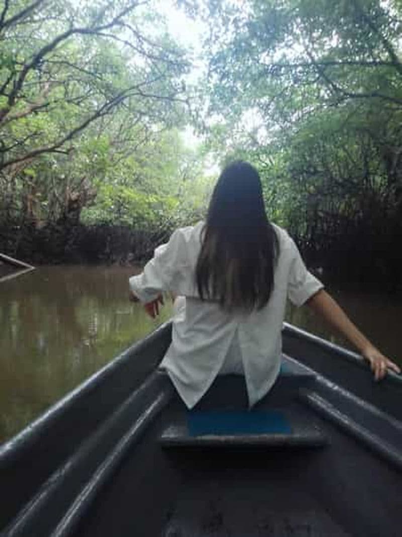 Billet Excursion à Bintan Mangrove ou Fireflies