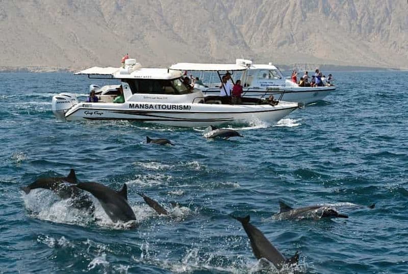Mascate : excursions d'observation des dauphins et des baleines