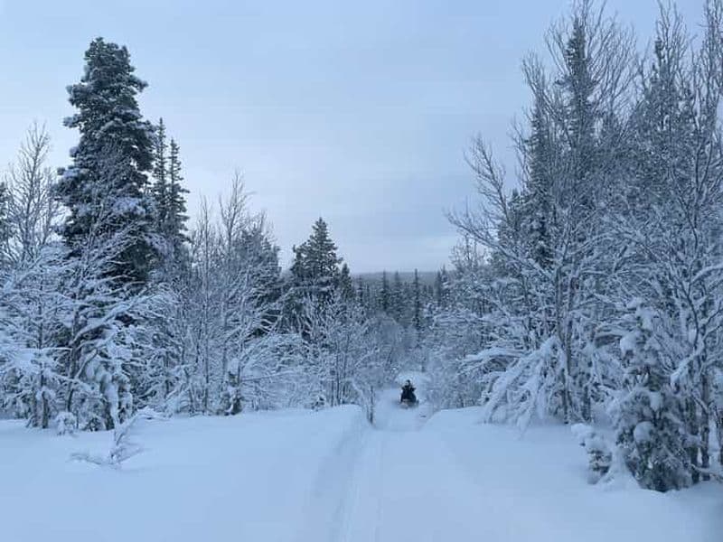 Kiruna : Visite guidée en motoneige et fika suédoise