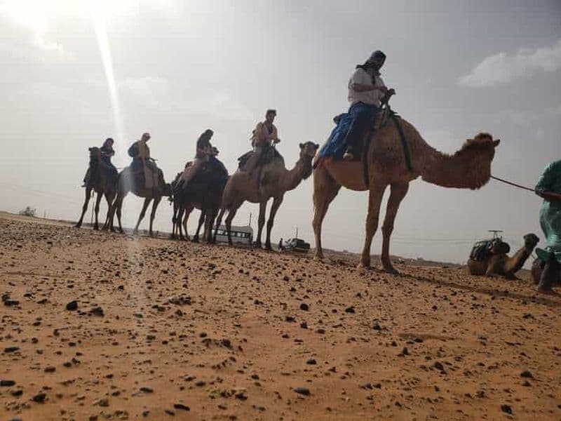 Billet Au départ de Marrakech, 2 jours d'excursion dans le Sahara pour découvrir le désert de Zagora et les Kasbahs