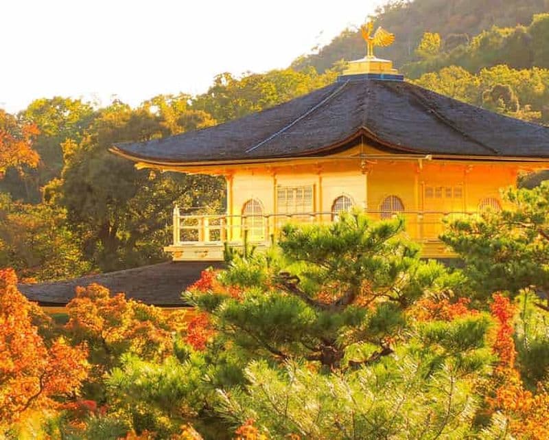 Kyoto : Kinkaku-ji Feuilles d'automne visite guidée 90 minutes