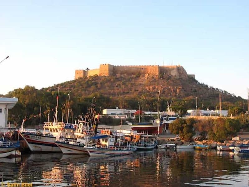 Billet Toute une journée au cap bon au départ de votre hôtel