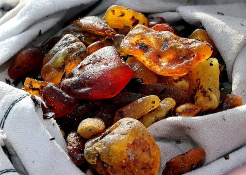 Billet Visite privée : à la recherche d'ambre dans l'isthme de Courlande depuis Klaipėda