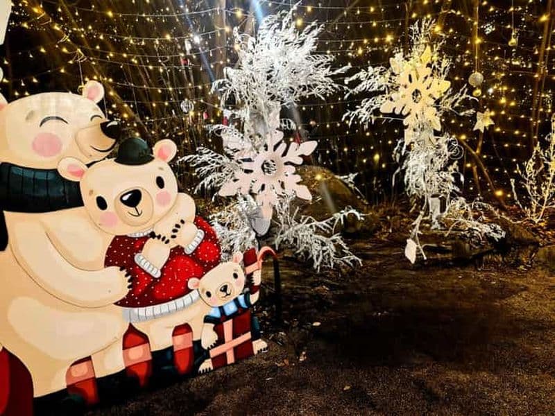 DEPUIS TRIESTE : Visite des marchés de Noël d'Opatija avec vin