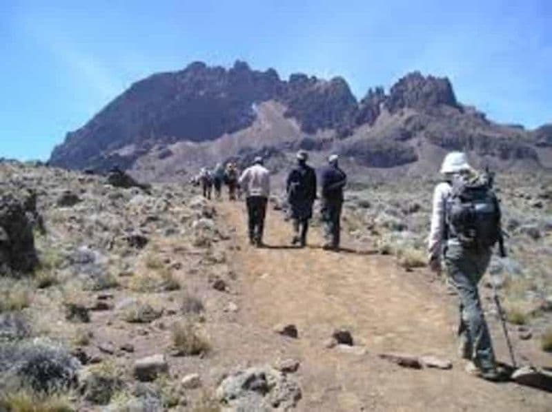 Billet Itinéraire de 8 jours pour l'ascension du Kilimandjaro par la voie Lemosho