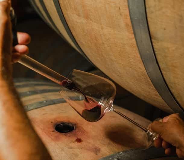 Montalcino : Les coulisses du Brunello et la dégustation de vins et de produits gastronomiques