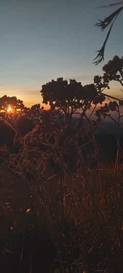 Billet Randonnée sur le mont Sangkareang (bord du cratère de Tetebatu) 2J1N