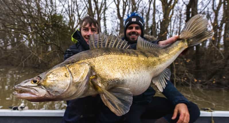 Poissy : Vivez une session de pêche en bateau sur la Seine proche de Paris
