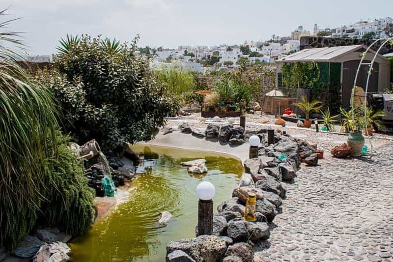 Visite privée interactive avec dégustation de vins, cuisine, artisanat