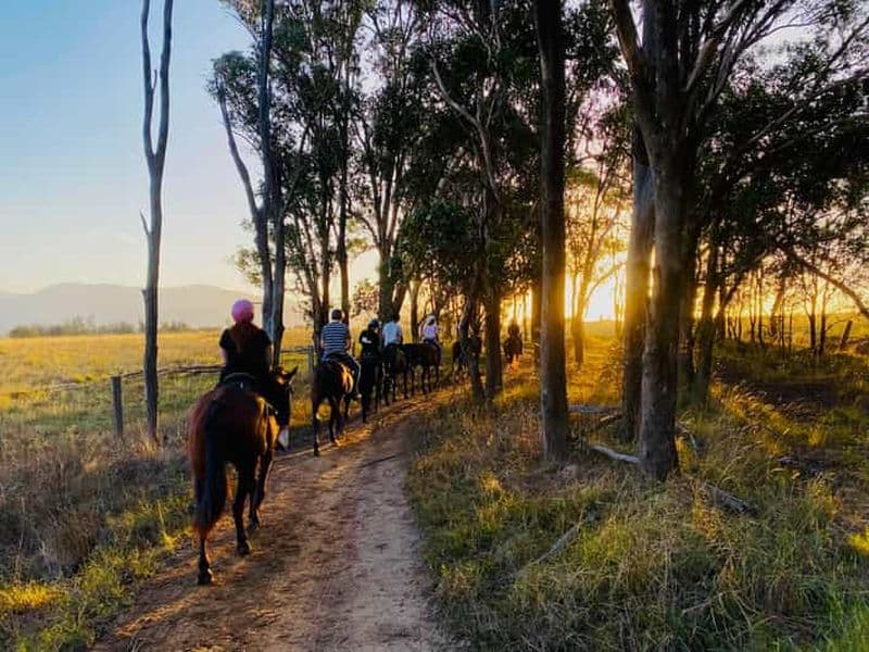 Vallée de Hunter : Randonnée à cheval au coucher du soleil