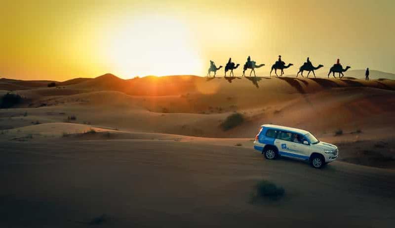 Doha : safari au coucher du soleil dans le désert, quad, balade à dos de chameau et sandboard