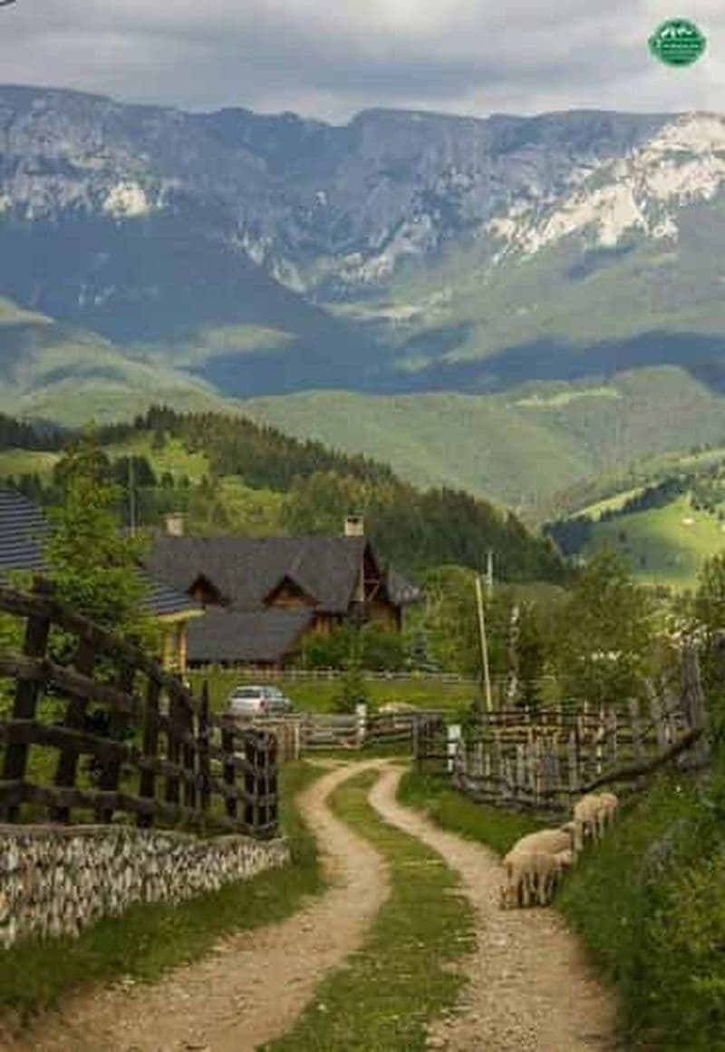 Billet Bucarest : visite des villages et de la campagne roumaine