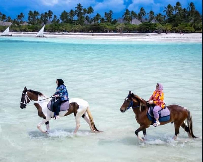 Billet Pemba : Safari nocturne dans la forêt de Ngezi avec un guide ranger