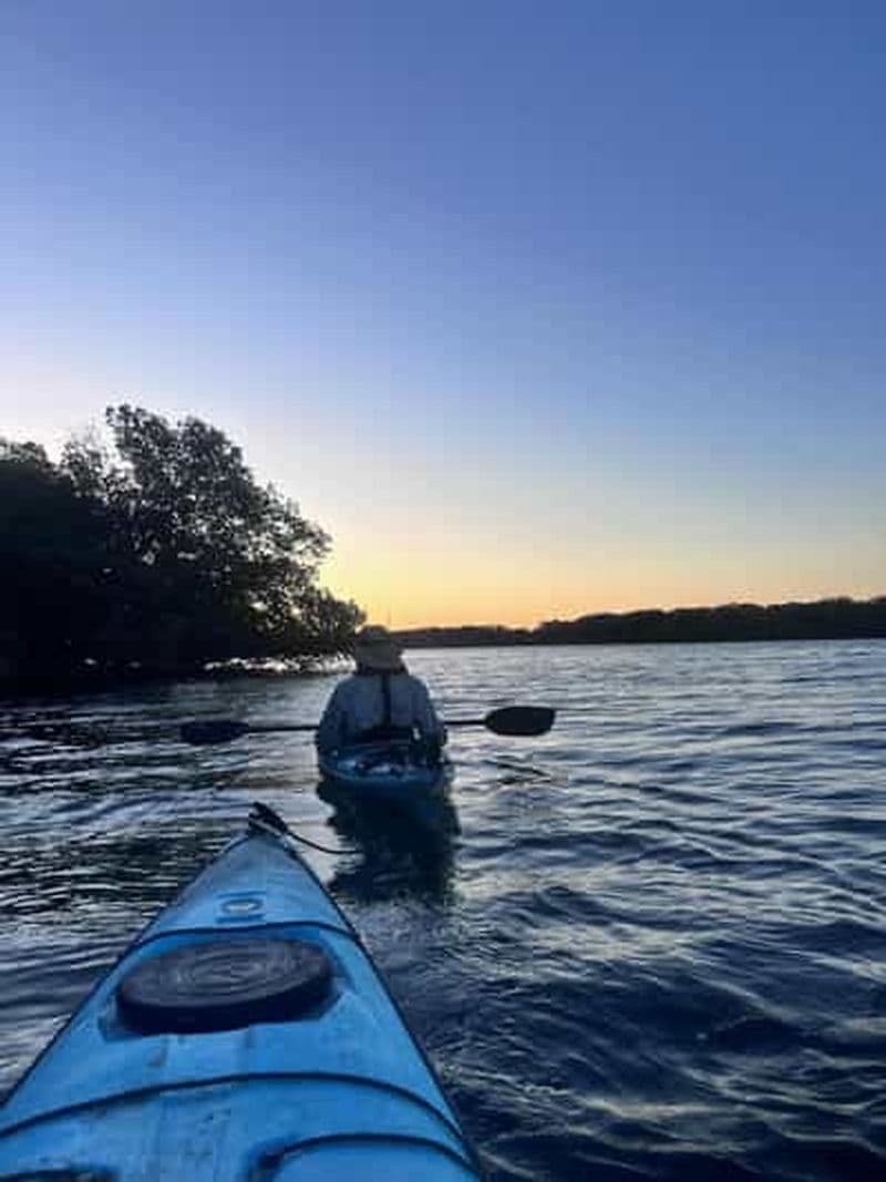 Billet Adélaïde : excursion en kayak dans la mangrove au crépuscule