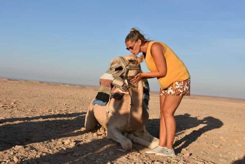 Hurghada : Balade à dos de chameau, balade à cheval et excursion en jeep tout-terrain