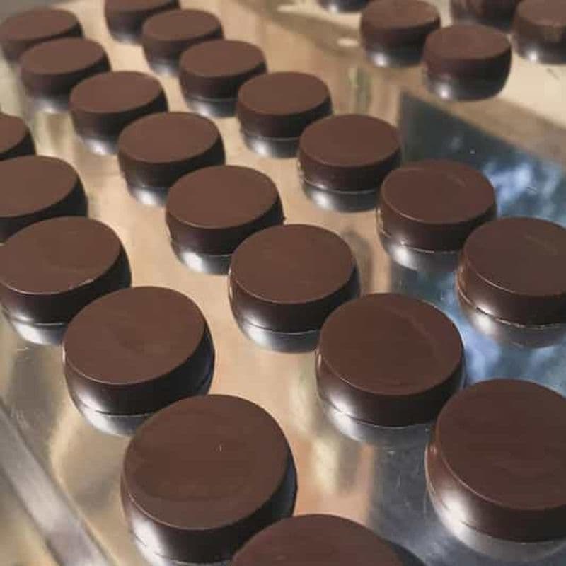 Visite de la ferme chocolatière de Bohol avec fabrication de chocolat