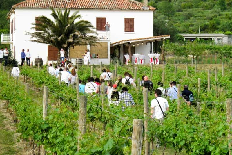 Billet Vallée de Konavle : Visite avec dégustation de vins au départ de Dubrovnik